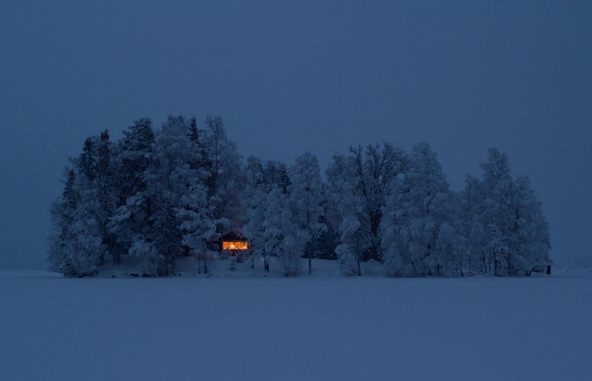 Warm-lit cabin among snow-covered trees at night