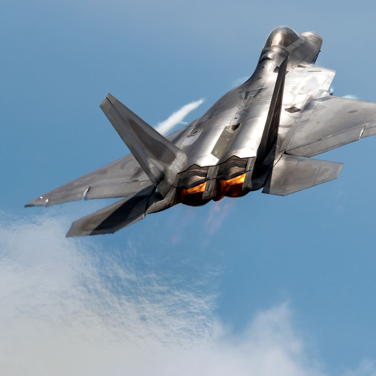F-22 Raptor in flight