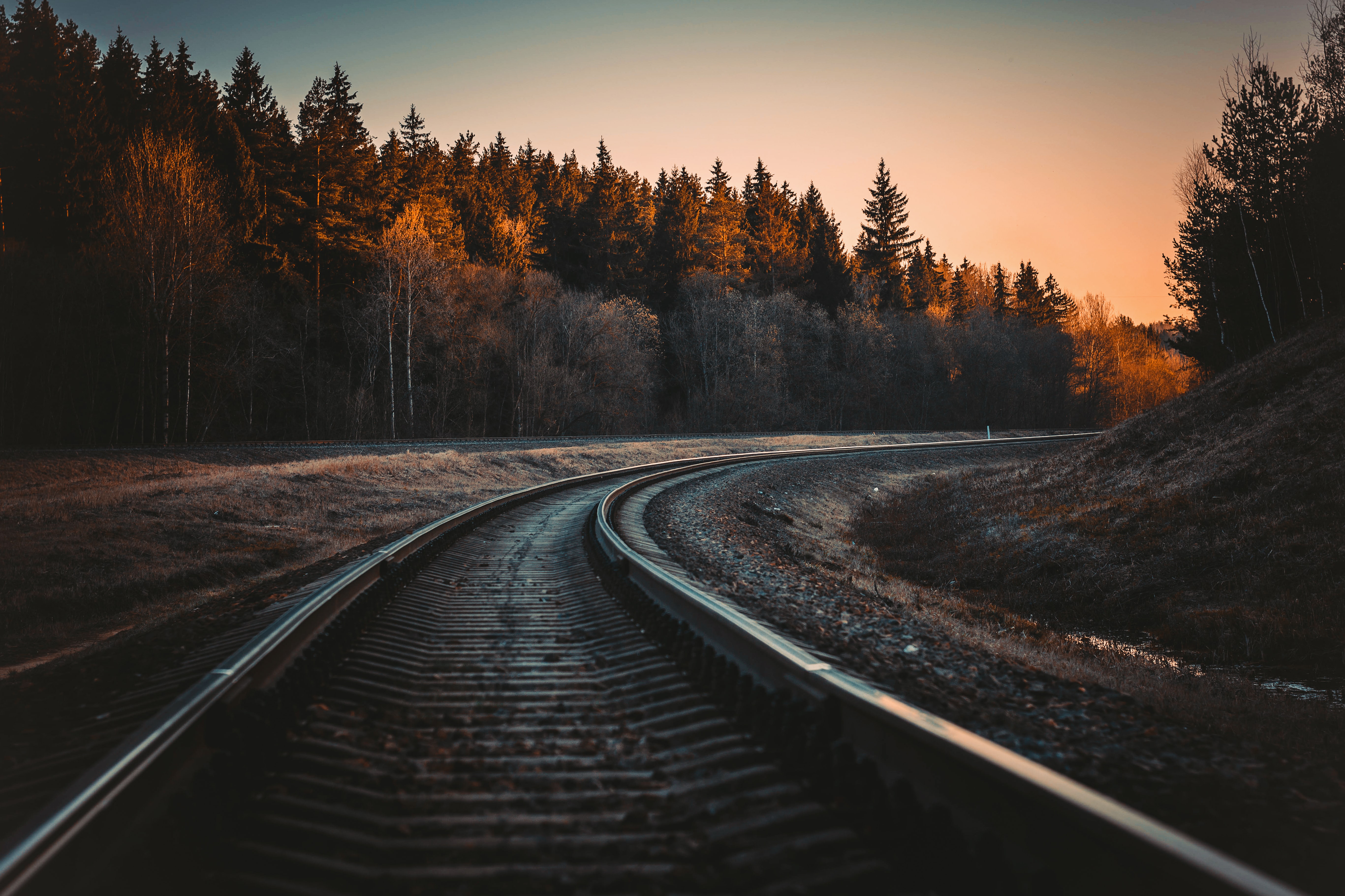 Train tracks curving through a forest at sunset
