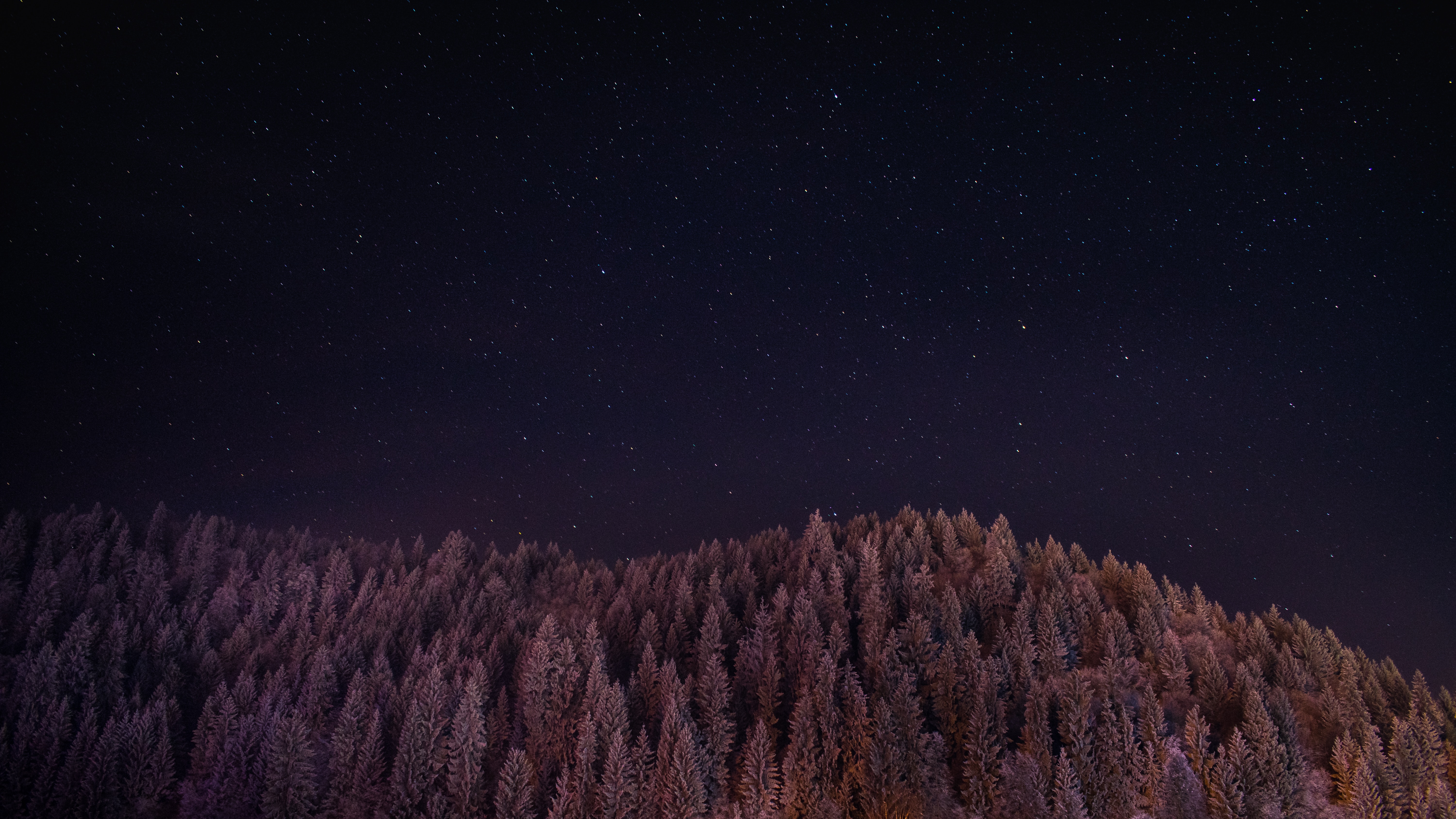 Snow-covered forest treeline under a starry sky