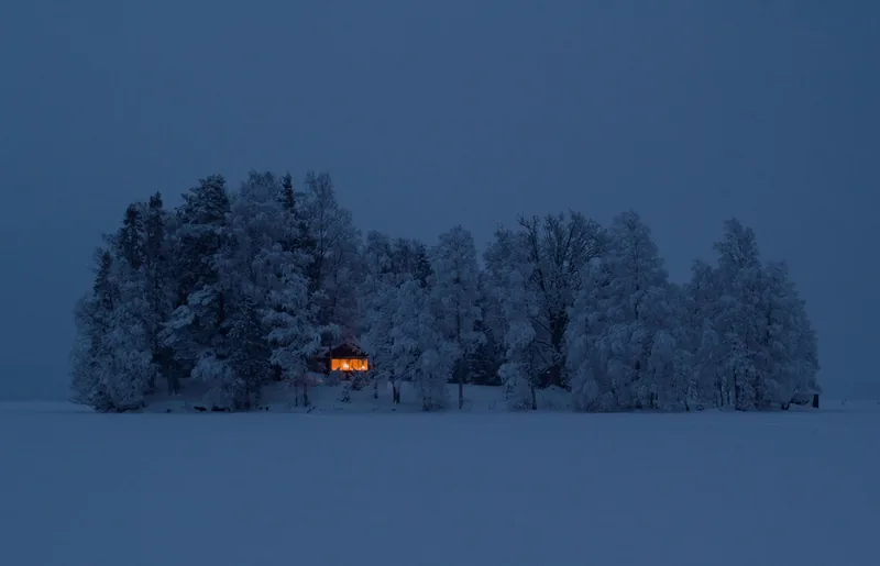 Warm-lit cabin among snow-covered trees at night