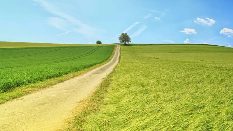 Mountain panorama landscape
