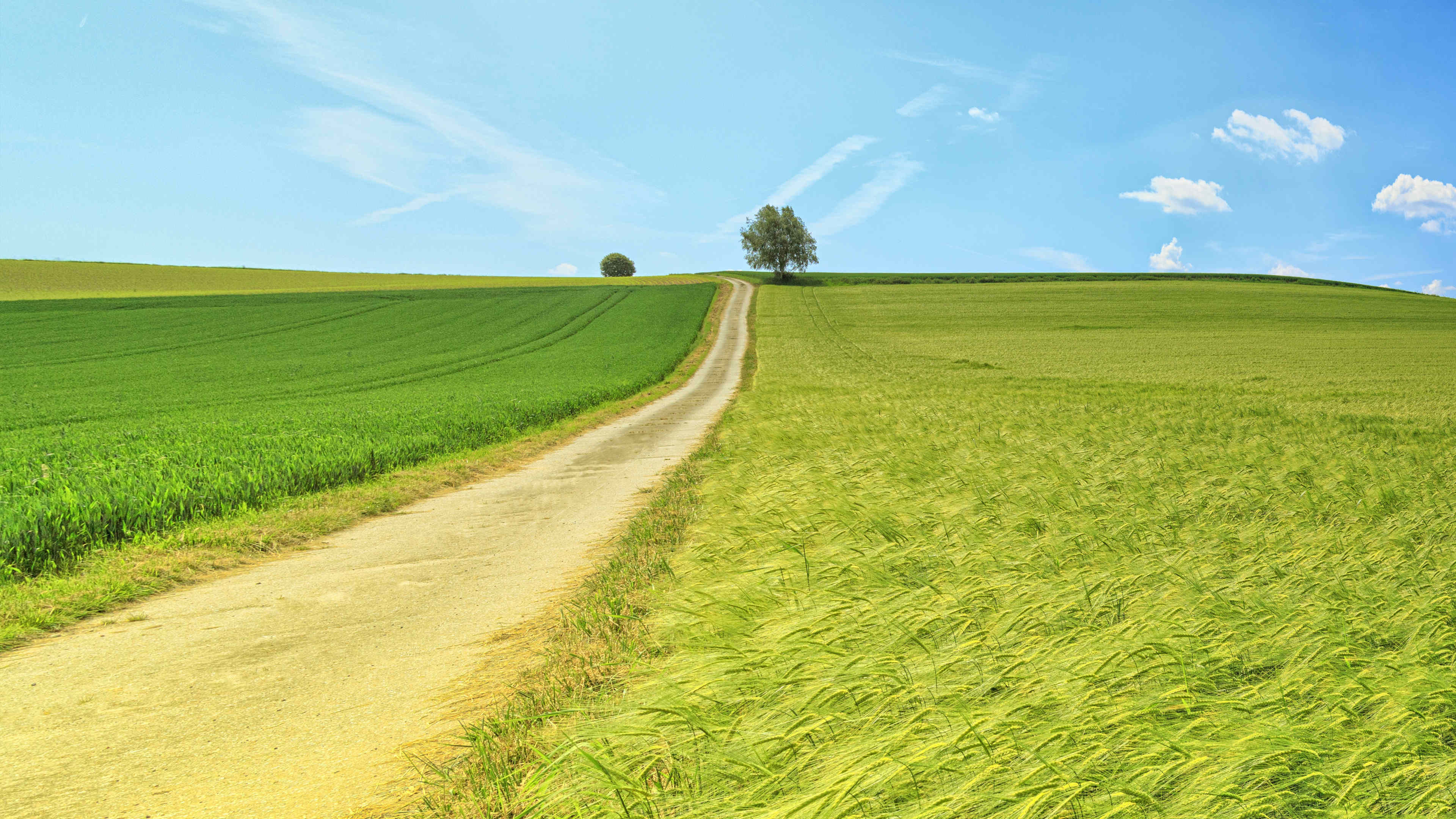 Mountain panorama landscape