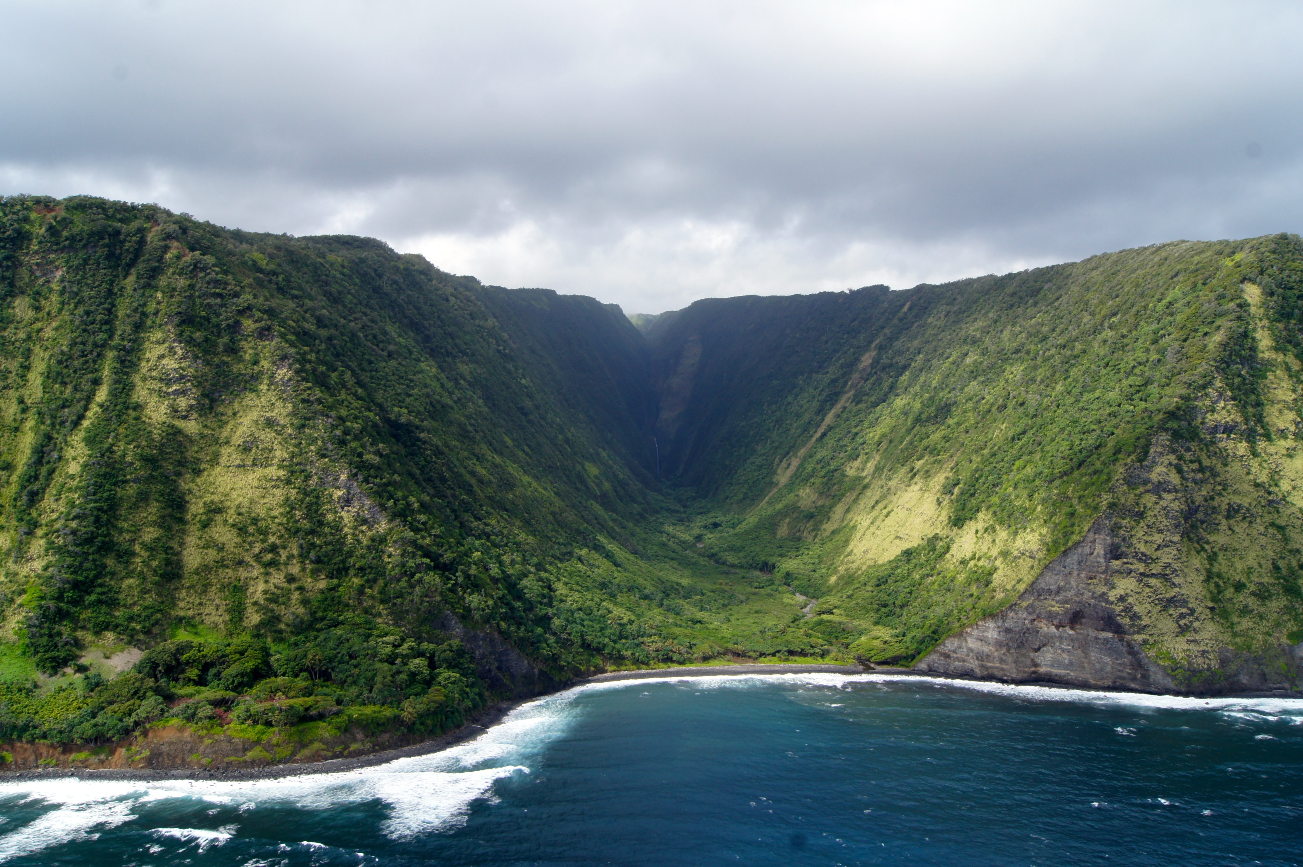 Lush tropical valley meeting the coast from above